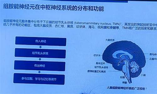 盐酸倍他司汀能降血压吗-盐酸倍他司汀是扩