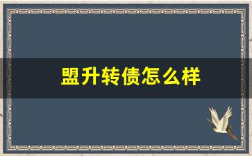 盟升转债怎么样(盟升电子上市股价预测)_https://www.gen-fastener.com_广期所_第1张