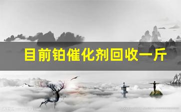 目前铂催化剂回收一斤多少钱啊(铂催化剂多少钱一克)_https://www.jumanxin.com_北交所_第1张