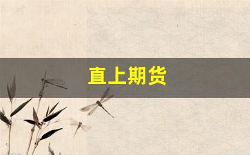 直上期货(期货直播)_https://www.xzdzcjn.com_上交所_第1张