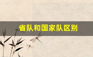 省队和国家队区别-省队进国家队要多少钱