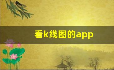 看k线图的app(能看k线图的手机软件)_https://www.luoxuangg888.com_北交所_第1张