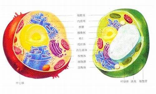 高中阶段常见真核生物,真核生物高考