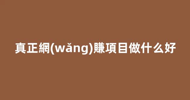 真正網(wǎng)賺項目做什么好 - 嚴選資源大全