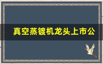 真空蒸镀机龙头上市公司_https://www.hhem8.com_深交所_第1张