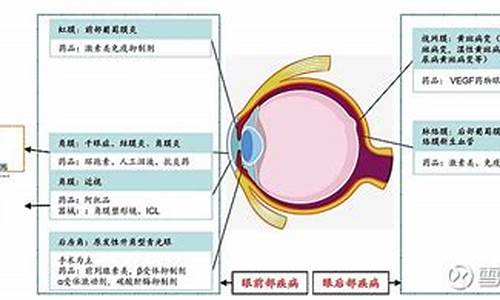 眼科疾病缩写_眼科专业术语缩写