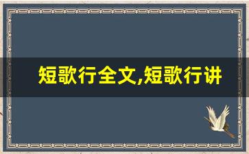短歌行全文,短歌行讲了什么,短歌行经典句子-第1张图片-我的生活随想