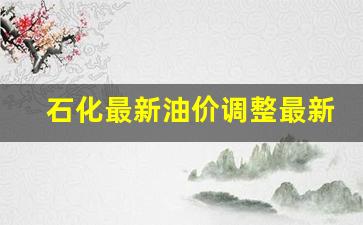 石化最新汽油价格_石化最新油价调整最新消