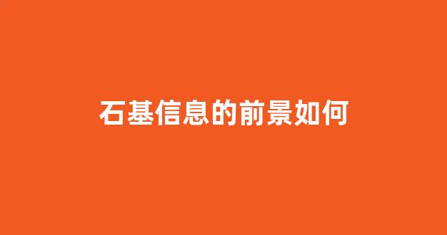 石基信息的前景如何(石基信息潜力)_https://www.luoxuangg888.com_科创板_第1张