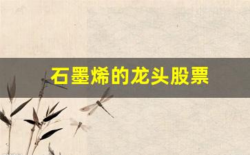 石墨烯的龙头股票(石墨烯龙头股票期)_https://www.wguangz.com_大商所_第1张