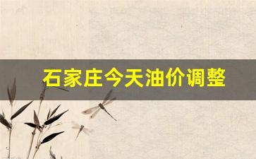石家庄今天油价调整-石家庄今天油价表