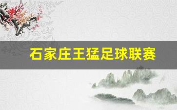 石家庄王猛足球联赛-石家庄足球业余联赛