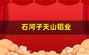 石河子天山铝业(石河子天山铝业工资待遇)_https://www.nalian8.com_深交所_第1张