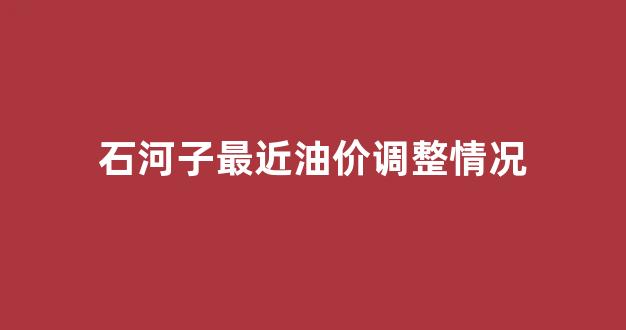 石河子最近油价调整情况_石河子最近油价调整情况查询