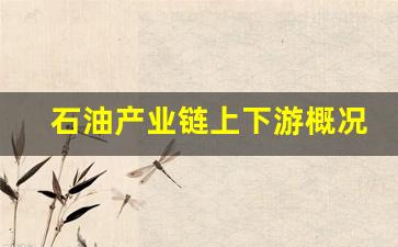 石油产业链上下游概况示意图(石油工业产业链)_https://www.nalian8.com_深交所_第1张