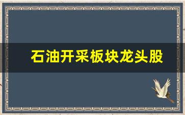 石油开采板块龙头股(石油开采板块龙头股票)_https://www.jumanxin.com_北交所_第1张