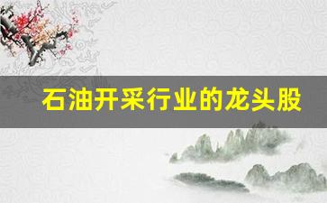 石油开采行业的龙头股票(石油开采板块龙头股票一览表)_https://www.hangfeite.com_深交所_第1张