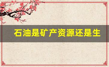 石油是矿产资源还是生物资源(石油属于什么类型的资源)_https://www.lclxwz.com_郑商所_第1张
