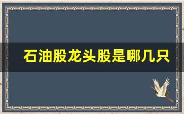 石油股龙头股是哪几只(2021石油股票有哪些龙头股)_https://www.nalian8.com_深交所_第1张