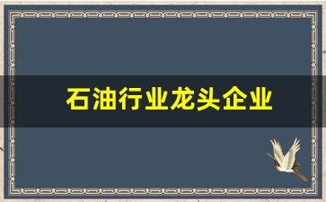 石油行业龙头企业(新材料行业龙头企业)_https://www.jumanxin.com_深交所_第1张