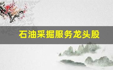 石油采掘服务龙头股(石油开采行业龙头)_https://www.taocizhiliang.com_设计报价_第1张