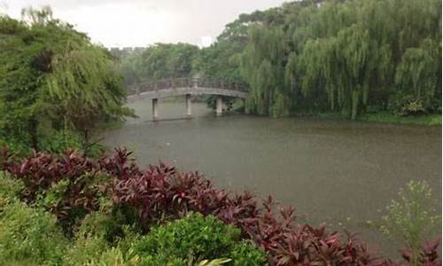 石马桃花公园骑行,石马桃花公园桃花几时开