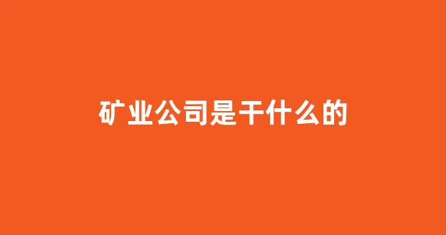 矿业公司是干什么的(矿业公司有哪些职位)_https://www.dongshengweixin.com_上交所_第1张