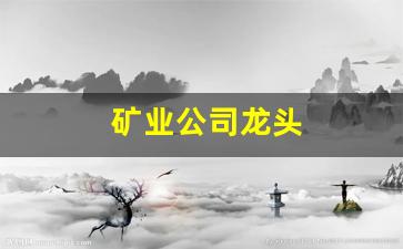 矿业公司龙头(a股矿业龙头)_https://www.wanyuyiyao.com_创业板_第1张