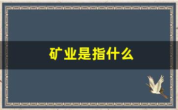 矿业是指什么(矿业是指什么行业)_https://www.hangfeite.com_创业板_第1张