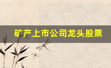 矿产上市公司龙头股票(光芯片上市公司龙头股票排名)_https://www.shshucaipeisong.com_北交所_第1张