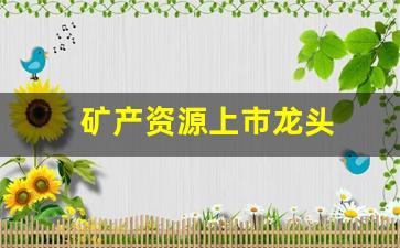 矿产资源上市龙头(矿产资源上市龙头股票)_https://www.taocizhiliang.com_设计报价_第1张