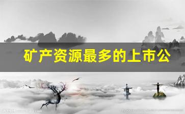 矿产资源最多的上市公司排名(有铷矿资源最大的上市公司)_https://www.jumanxin.com_上交所_第1张