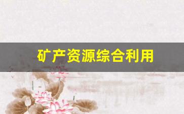 矿产资源综合利用(矿产资源综合利用率是指)_https://www.nalian8.com_上交所_第1张