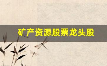矿产资源股票龙头股(矿产类龙头股)_https://www.gzyhshgzzx.com_上期所_第1张