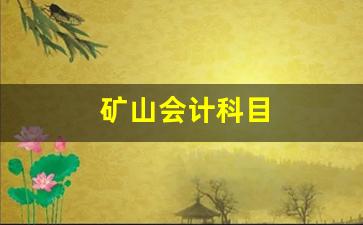 矿山会计科目(矿山会计科目有哪些)_https://www.hhem8.com_创业板_第1张
