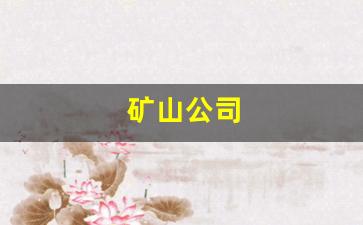 矿山公司(矿山公司简介怎么写大气)_https://www.wanyuyiyao.com_深交所_第1张
