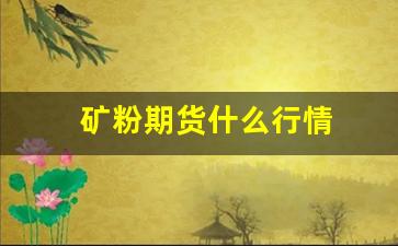 矿粉期货什么行情(鉄矿石期货)_https://www.rzcpcj.com_淘宝运营_第1张