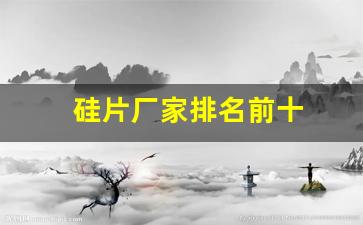 硅片厂家排名前十(硅片厂商)_https://www.nalian8.com_科创板_第1张