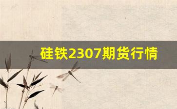 硅铁2307期货行情分析(硅铁期货价格实时行情)_https://www.fzdzcxj.com_上交所_第1张