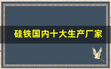 硅铁国内十大生产厂家(硅铁国内十大生产厂家民和县有几家硅铁厂子)_https://www.wguangz.com_大商所_第1张