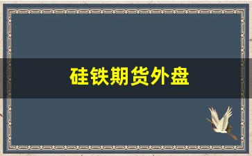 硅铁期货外盘(硅铁期货基本面分析)_https://www.xzdzcjx.com_科创板_第1张