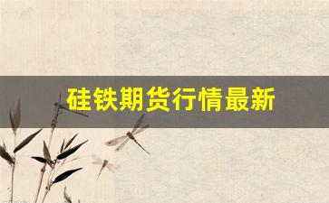 硅铁期货行情最新(硅铁期货最新预测)_https://www.jyywjc.com_股票行情_第1张