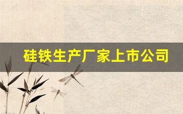 硅铁生产厂家上市公司(2021国内硅铁生产上市公司龙头)_https://www.qldgs.com_黄金期货_第1张