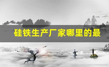 硅铁生产厂家哪里的最多(硅铁生产工艺流程)_https://www.dcjwmf.com_上期能源_第1张