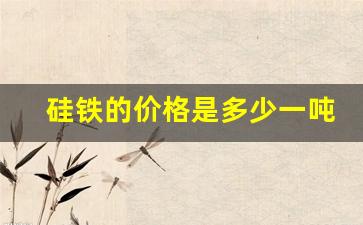 硅铁的价格是多少一吨(硅铁的价格是多少一吨现价)_https://www.qldgs.com_原油期货_第1张