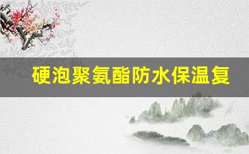 硬泡聚氨酯防水保温复合板(硬泡聚氨酯复合板施工工艺)_https://www.wanyuyiyao.com_北交所_第1张
