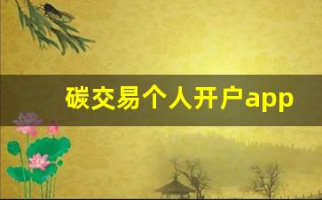 碳交易个人开户app(甘肃碳交易个人开户app)_https://www.wanyuyiyao.com_科创板_第1张