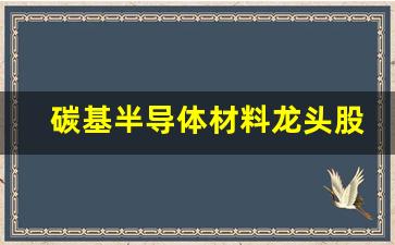 碳基半导体材料龙头股(碳基半导体概念龙头股票)_https://www.tuogunzhijia.com_黄金期货_第1张