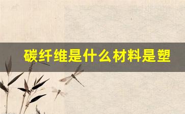 碳纤维是什么材料是塑料吗(碳纤维是塑料的一种嘛)_https://www.nalian8.com_深交所_第1张