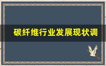 碳纤维行业发展现状调查(碳纤维行业深度报告)_https://www.wguangz.com_广期所_第1张
